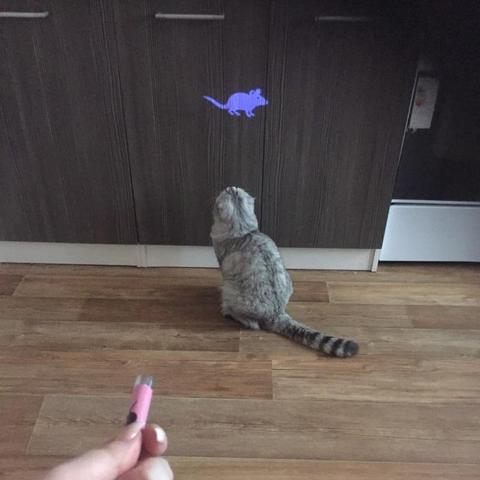 Pet Multi-Pattern Laser Pointer