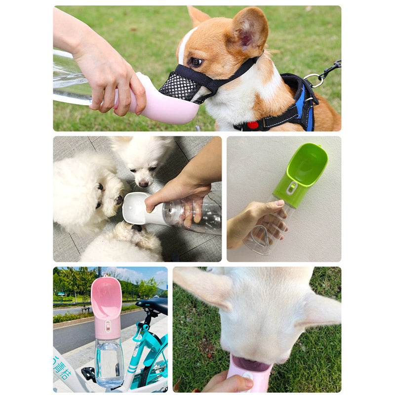 Pet Bottle Feeder